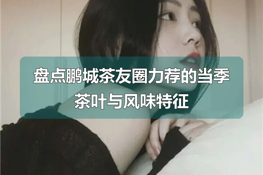 盘点鹏城茶友圈力荐的当季茶叶与风味特征